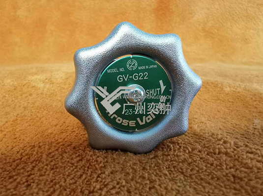 GV-G22截止阀(图1)